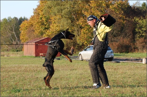 Training in Estonia 9/2007